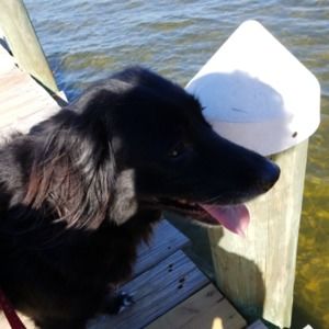 Meet your Posher, Chantal